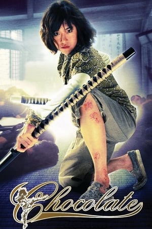Chocolate (2008) Hindi Dual Audio 300MB HD Poster Download - filmyfly