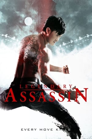 Legendary (2013) Hindi Dual Audio 480MB HD Poster Download - filmyfly