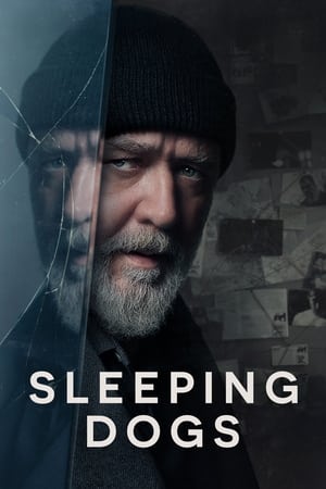 Sleeping Dogs (2024) Hindi Dual Audio – 720p – 480p