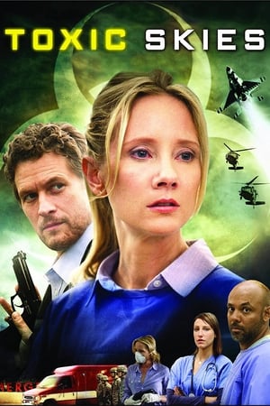 Toxic Skies 2008 Hindi Dual Audio 300MB HD Poster Download - filmyfly